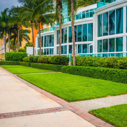 Commercial Landscaping-Ornelas Landscape Design in Florida