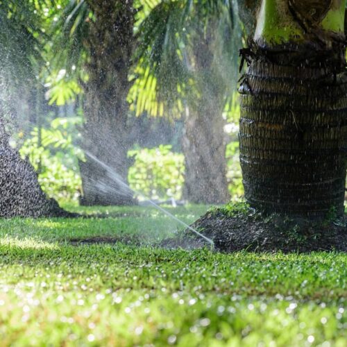 Irrigation Installation and Repairs-Ornelas Landscape Design in Florida