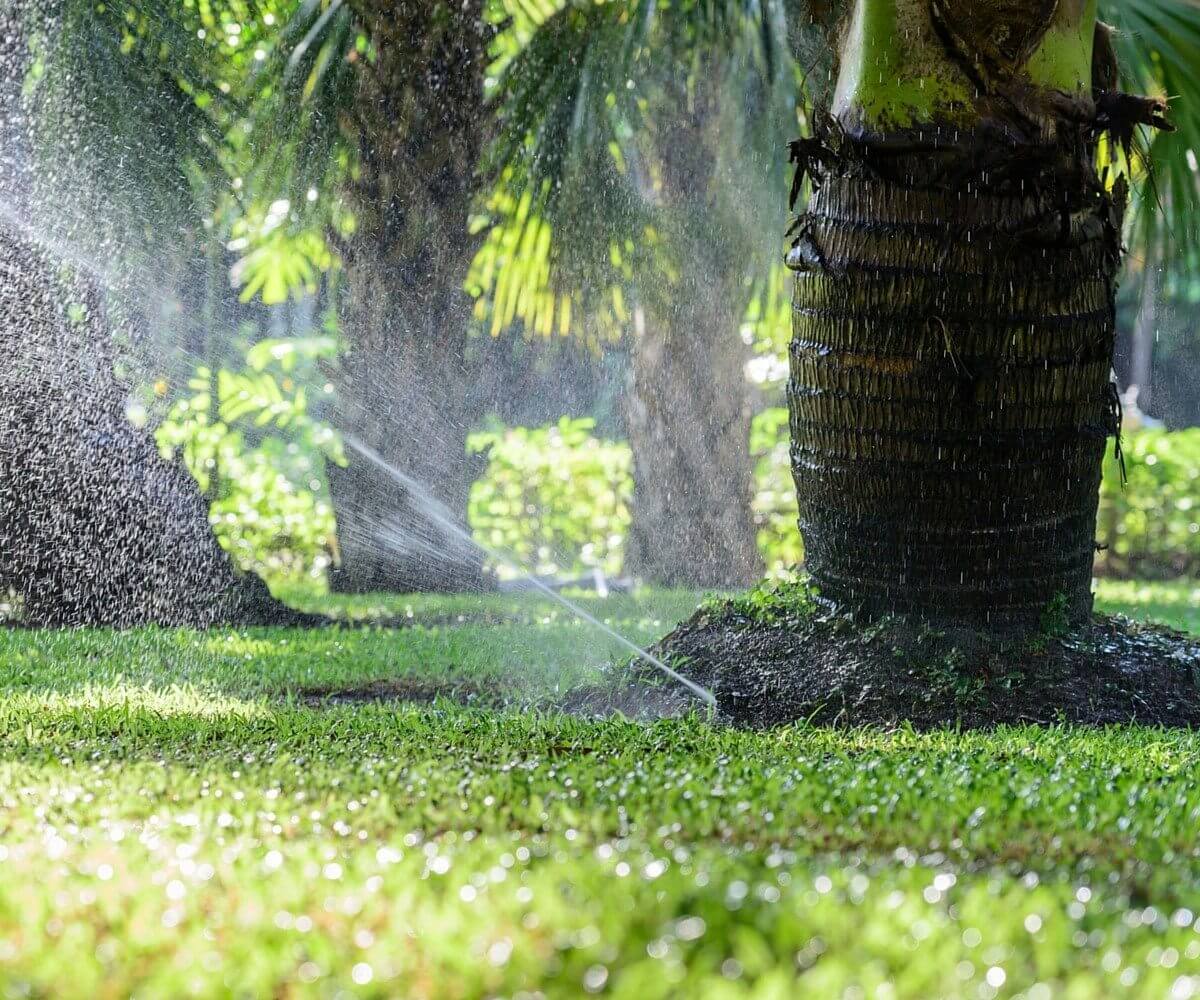 Irrigation Installation and Repairs-Ornelas Landscape Design in Florida
