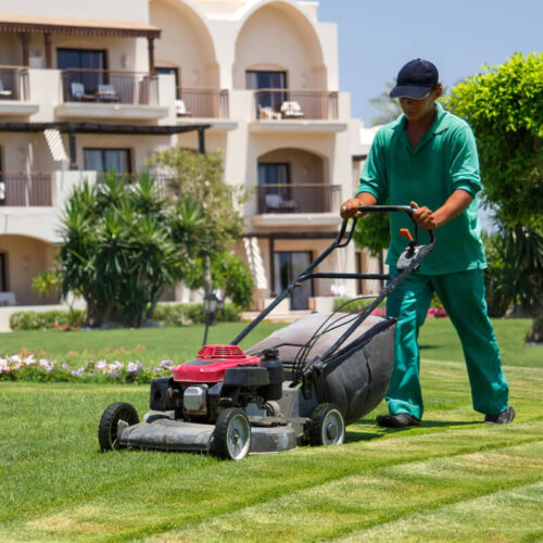 Lawn Services-Ornelas Landscape Design in Florida