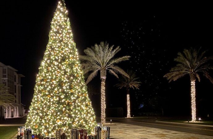 Christmas lighting Services-Ornelas Landscape Design