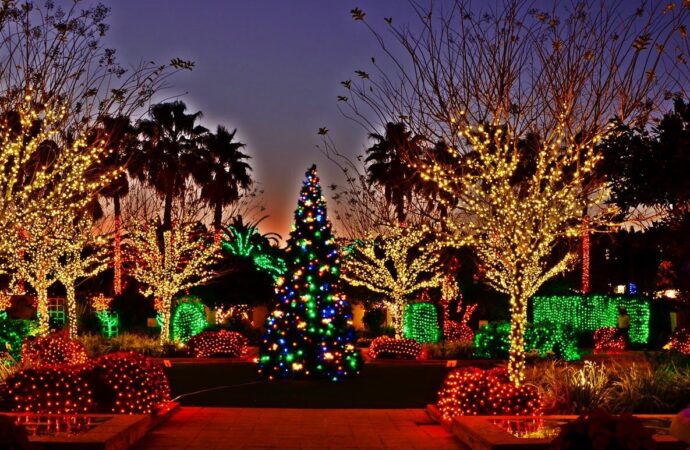 Holiday lighting Near Me-Ornelas Landscape Design