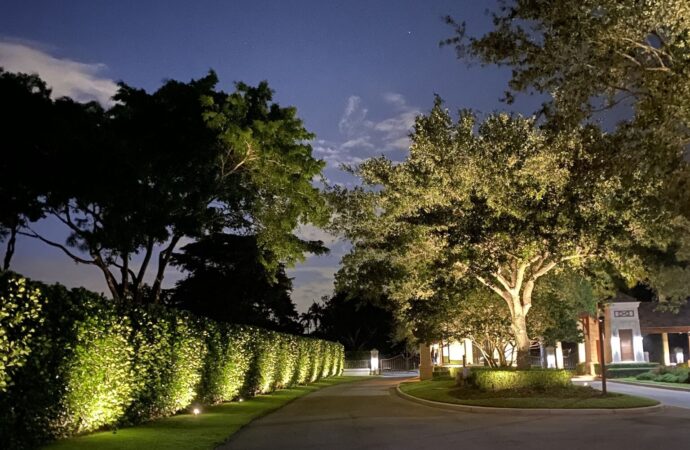Outdoor LED garden lighting Services-Ornelas Landscape Design